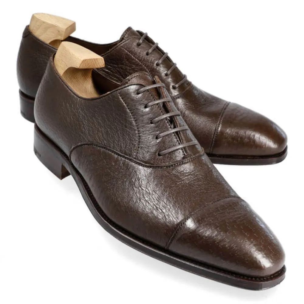 PECCARY OXFORDS 80386 RAIN | Carmina Online