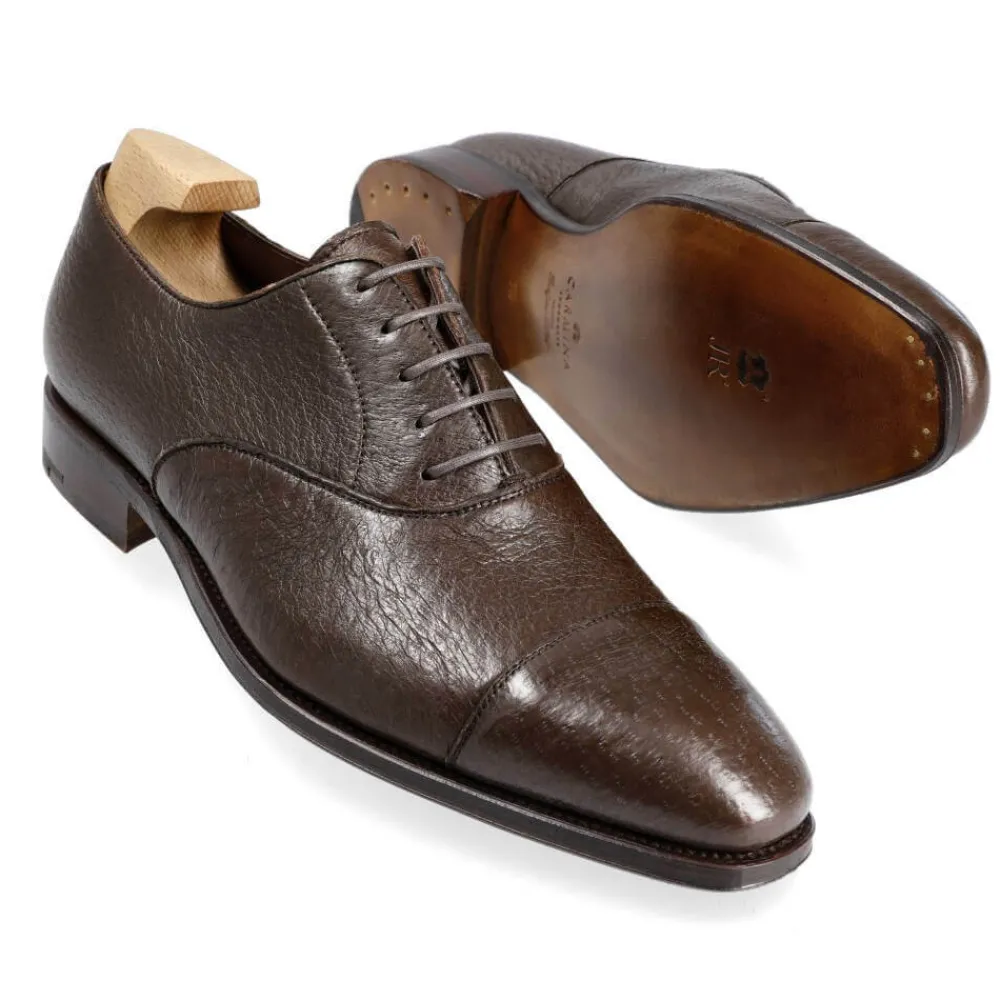 PECCARY OXFORDS 80386 RAIN | Carmina Online